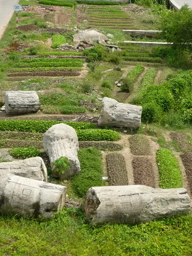 Ảnh dự thi “Vì môi trường xanh” (Phần 1) ảnh 9